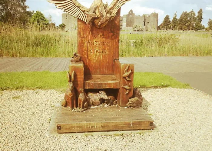 The Castle Walk 公寓 罗斯康芒